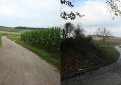Bericht zur Sanierung der Zufahrt Waldkindergarten bei Salksdorf  Markt Geisenhausen